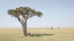 David Burdeny - Paradise, Maasai Mara Kenya, photographie 2018, imprimée d'après