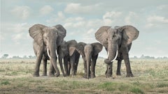 David Burdeny - Solace, Amboseli, Kenya, Fotografia 2018, Stampato Dopo