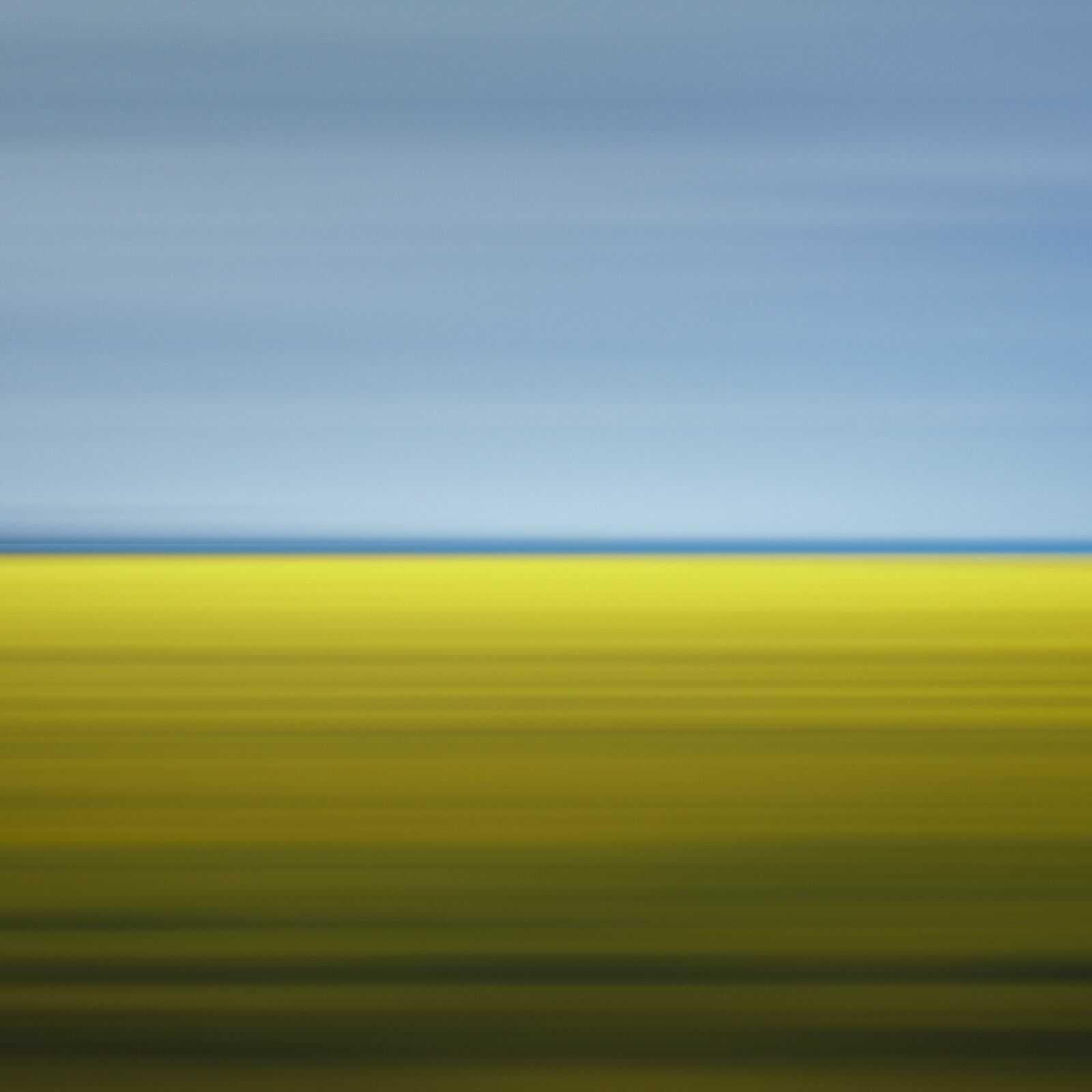 Limited Edition 'Mustard Field, Sanford, Canada' No. 84/150, Rep Tuleste Factory - Print by David Burdeny