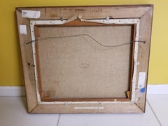 Baia di Brisbane, Australia