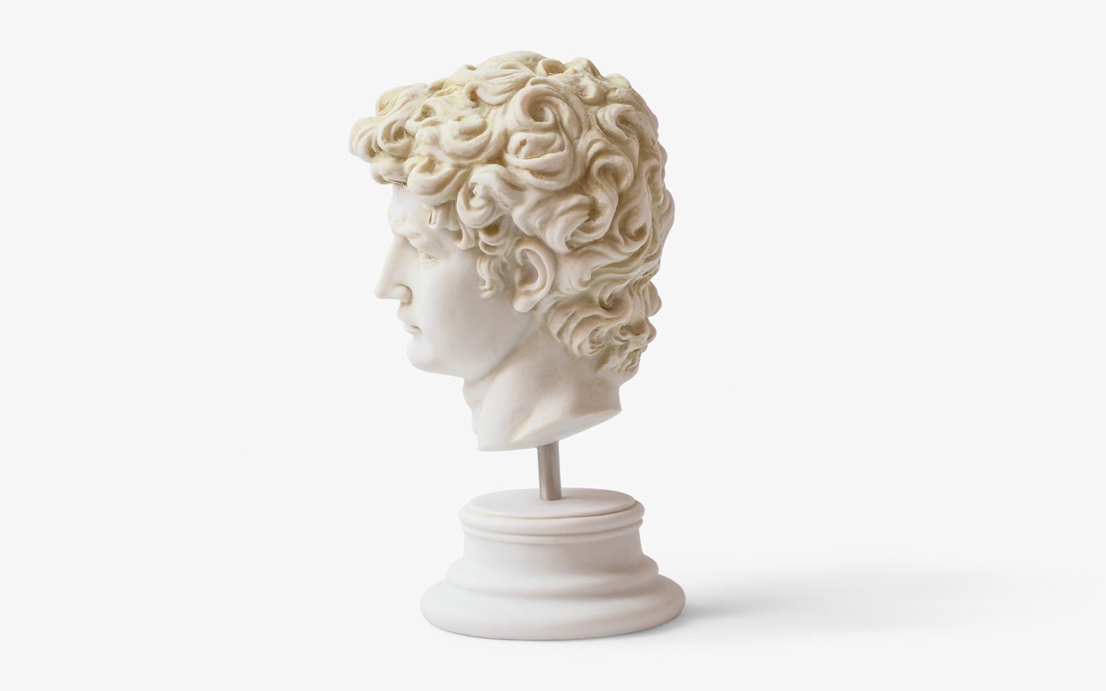 Classical Greek David Bust Made with Compressed Marble Powder 'Florence Accademia G.' For Sale