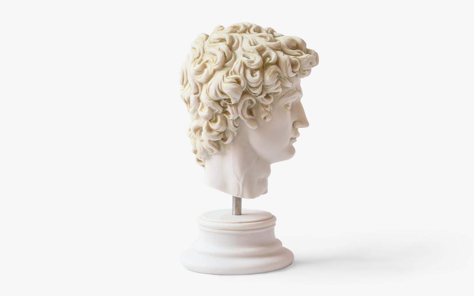Cast David Bust Made with Compressed Marble Powder 'Florence Accademia G.' For Sale