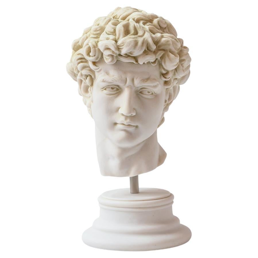 David Bust Made with Compressed Marble Powder 'Florence Accademia G.' For Sale