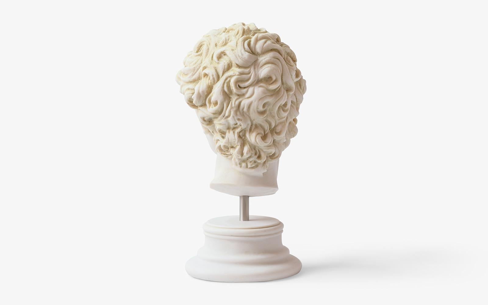 David David-Büste aus komprimiertem Marmor pulverbeschichtet 'Florence Accademia Gallery' (Gegossen) im Angebot