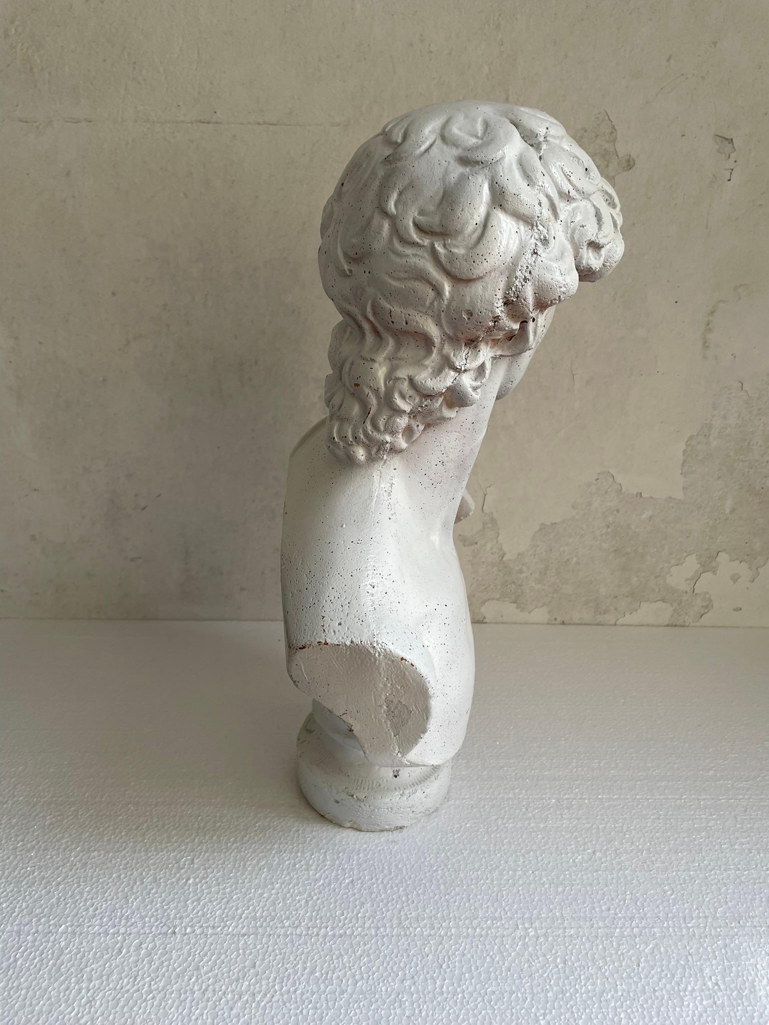 busto del david