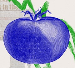 Giclée Print: 'BLUE TOMATO'