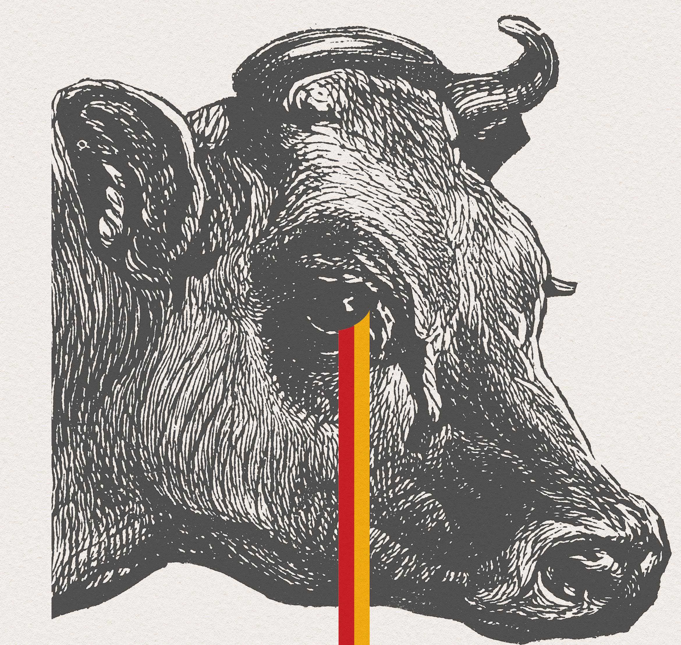 GRAPHICTHERAPY is David Calderley: 
an Englishman in New York, Creative/Art Director, Graphic Designer and Illustrator. After graduating from the esteemed St. Martin’s School of Art in Covent Garden, London and beginning a freelance career, he moved
