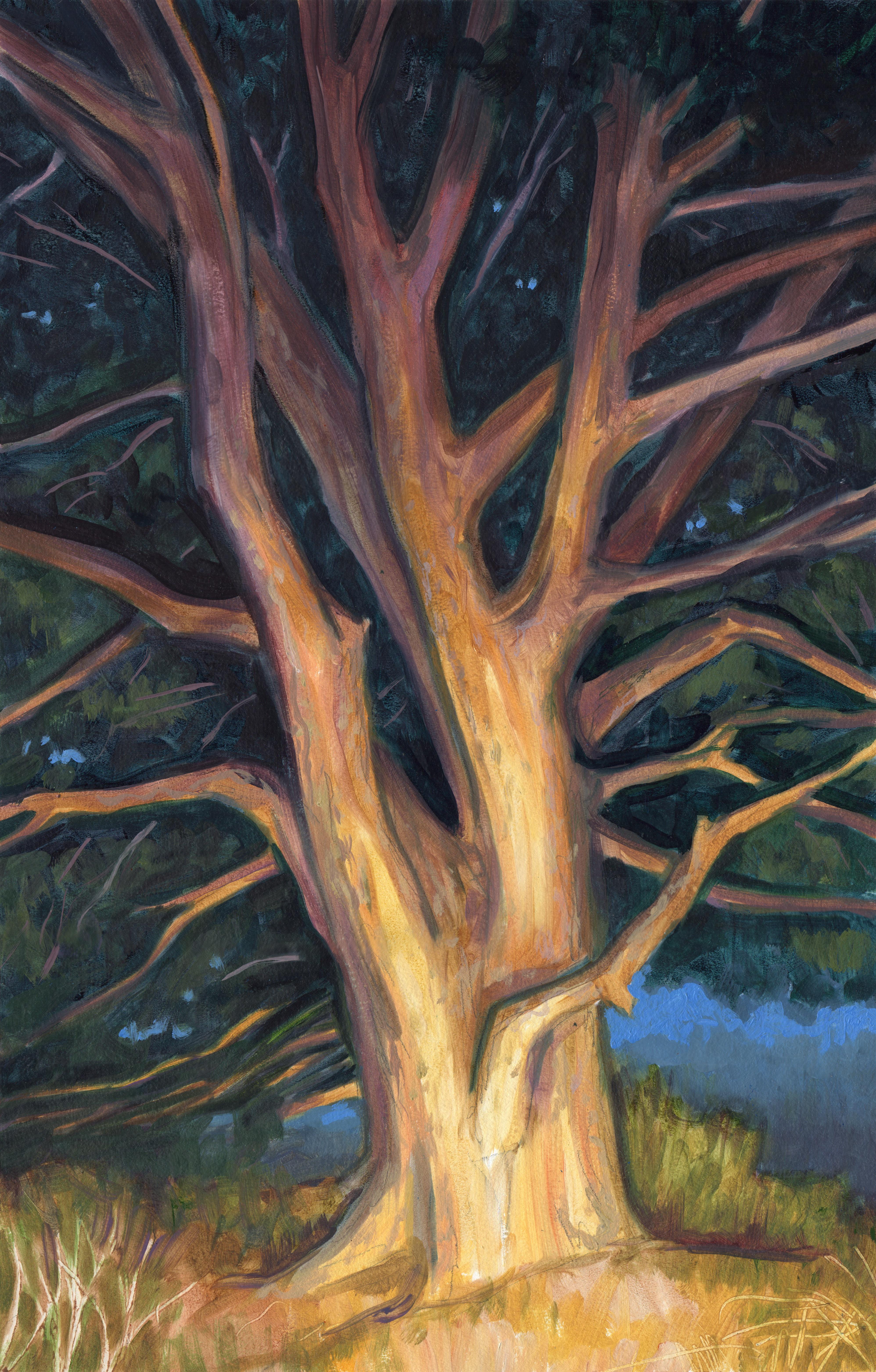 David Carmack Lewis' beautiful original contemporary oil landscape "Limber" (2023) depicts a tree standing tall on a hill, with the Colorado forest below, the pale blue sky casted above..

Artist Biography:
David Carmack Lewis (b. 1965) is a