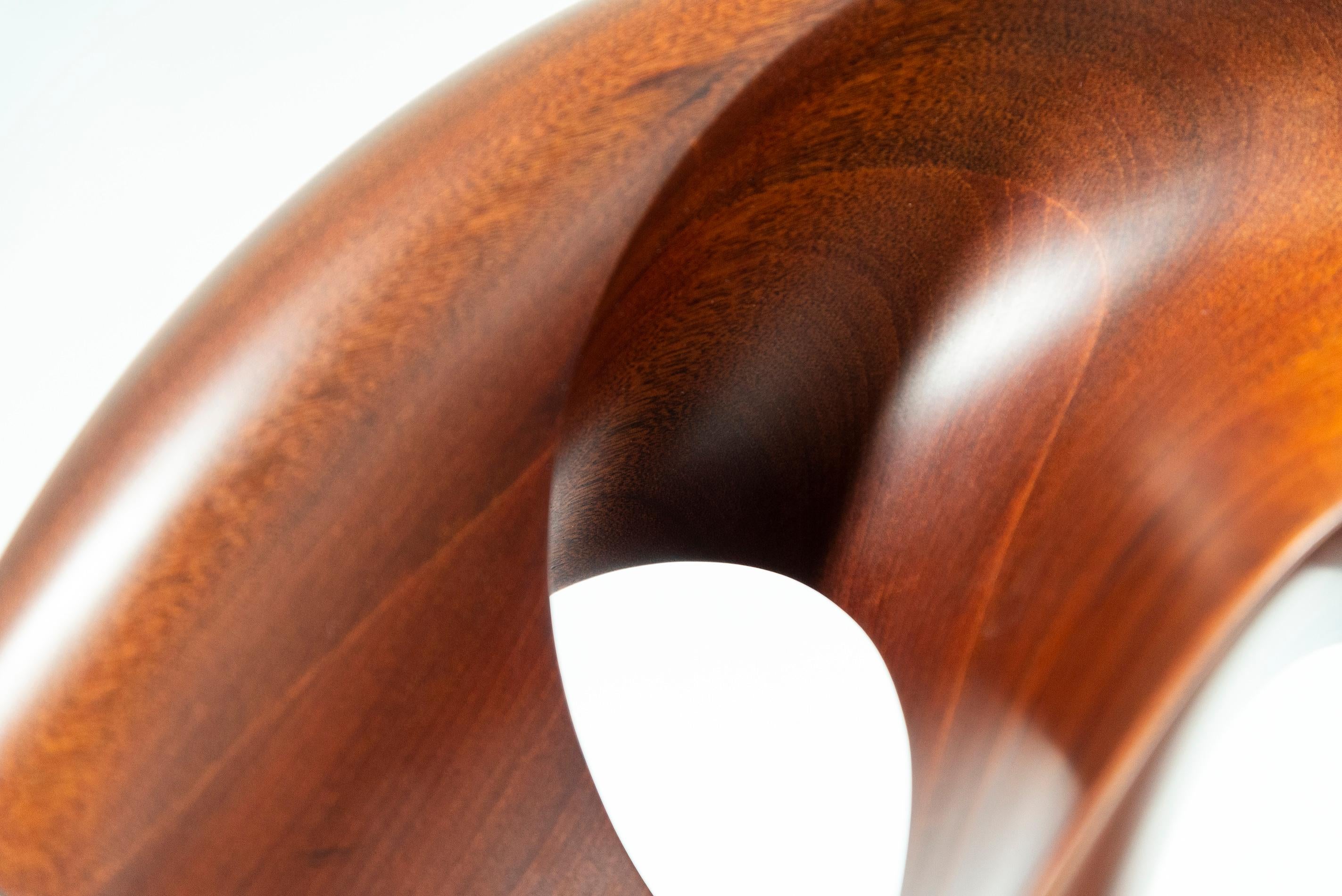 Fanfare - smooth, polished, abstract, contemporary, mahogany carved sculpture For Sale 7