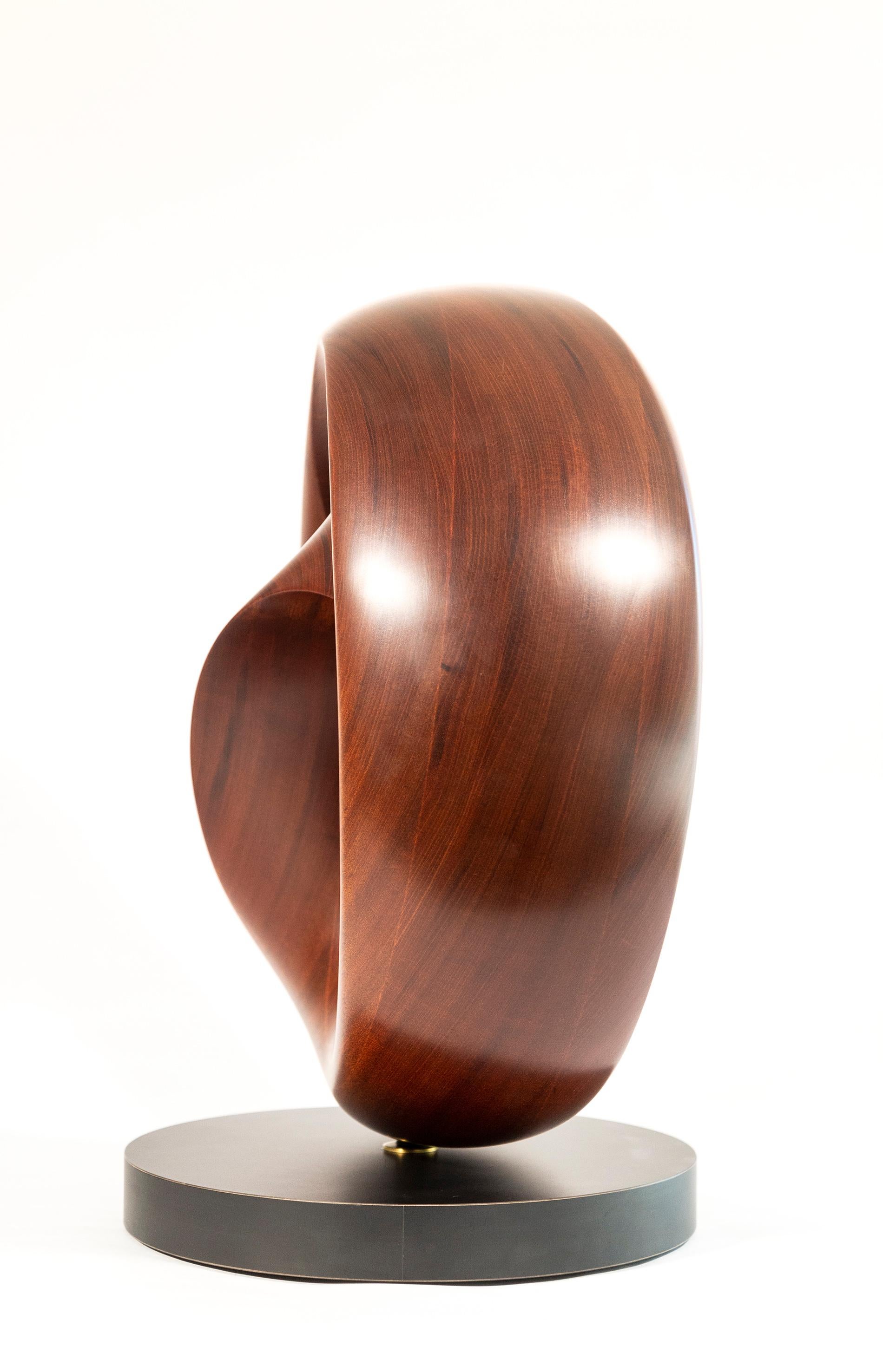 Fanfare - smooth, polished, abstract, contemporary, mahogany carved sculpture For Sale 2