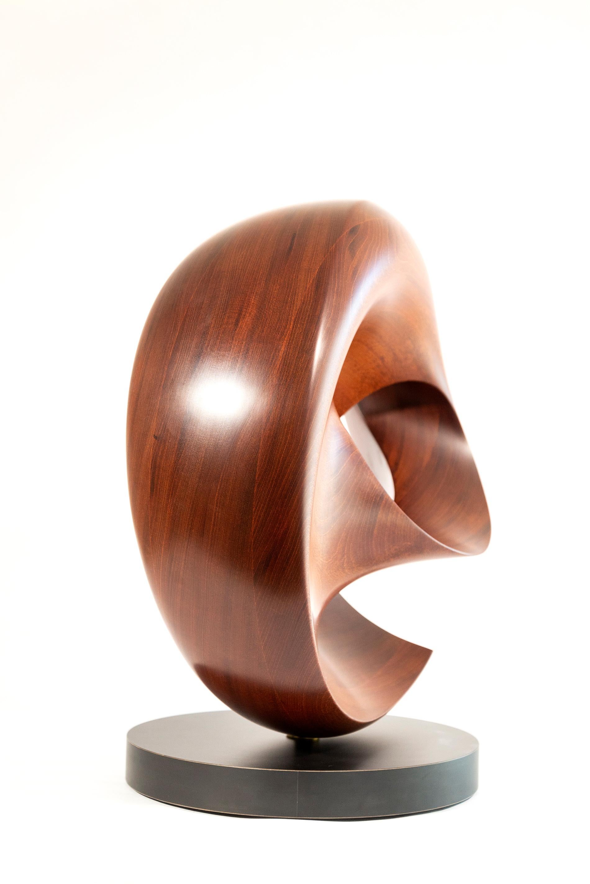 Fanfare - smooth, polished, abstract, contemporary, mahogany carved sculpture For Sale 3