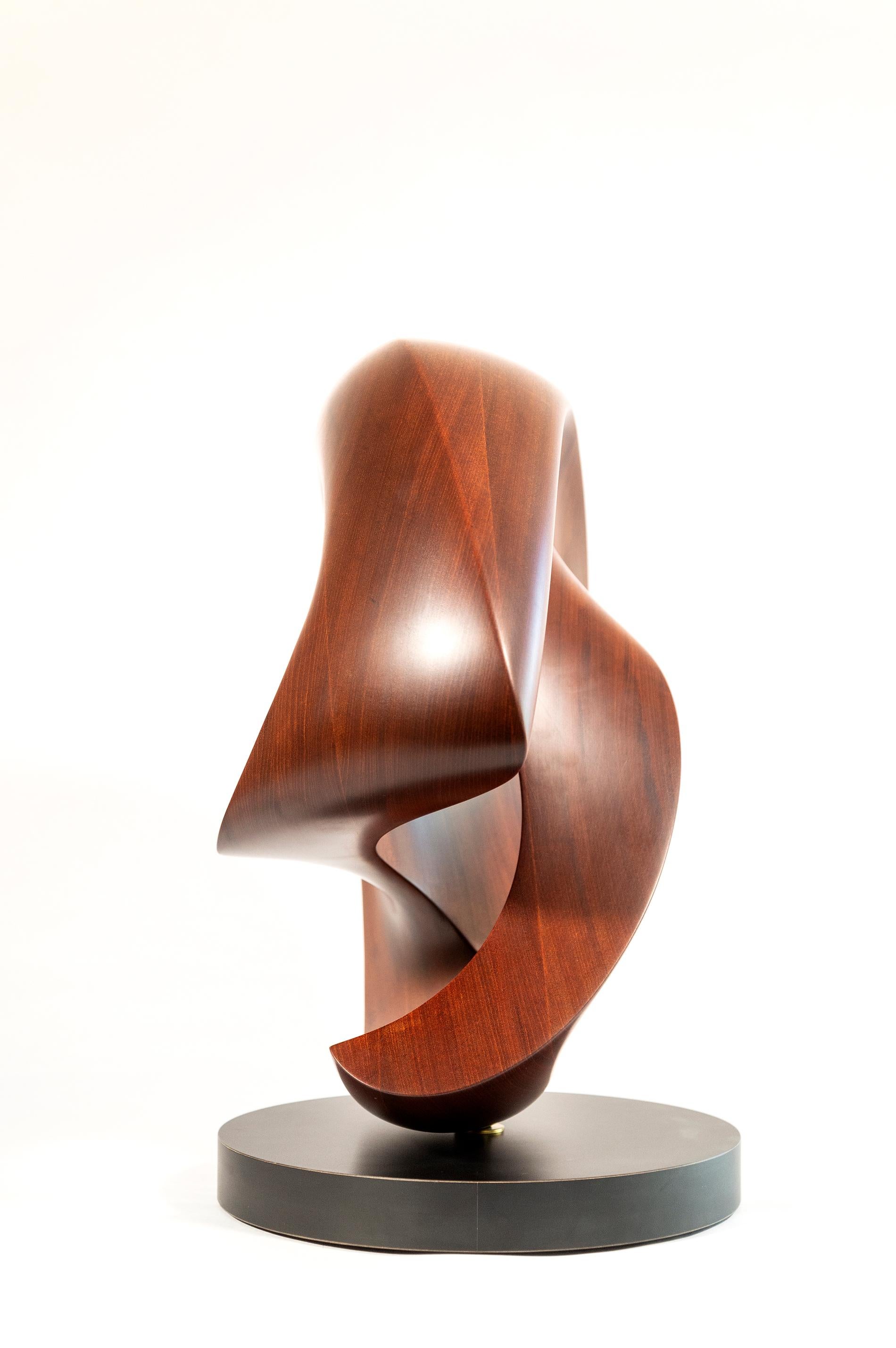 Fanfare - smooth, polished, abstract, contemporary, mahogany carved sculpture For Sale 5