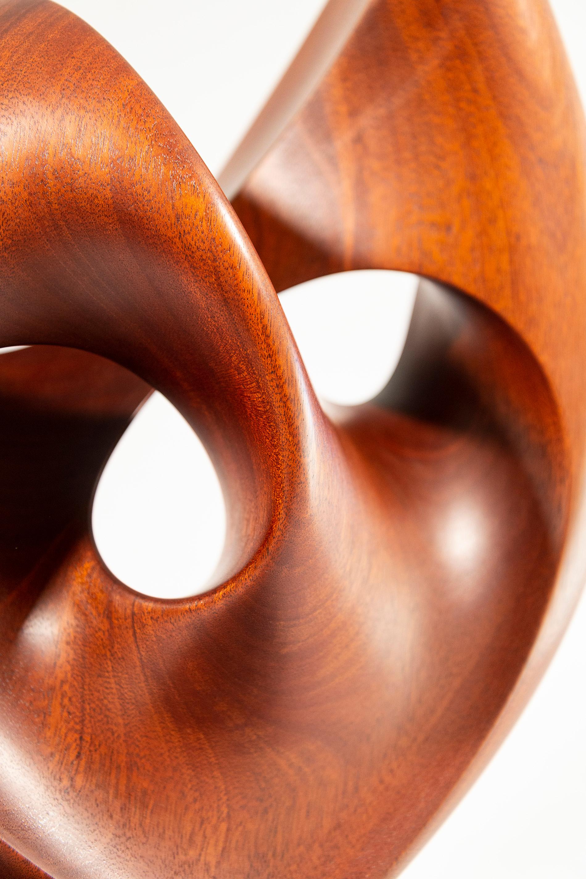 Senza Misura - smooth, polished, abstract, contemporary, mahogany sculpture For Sale 8