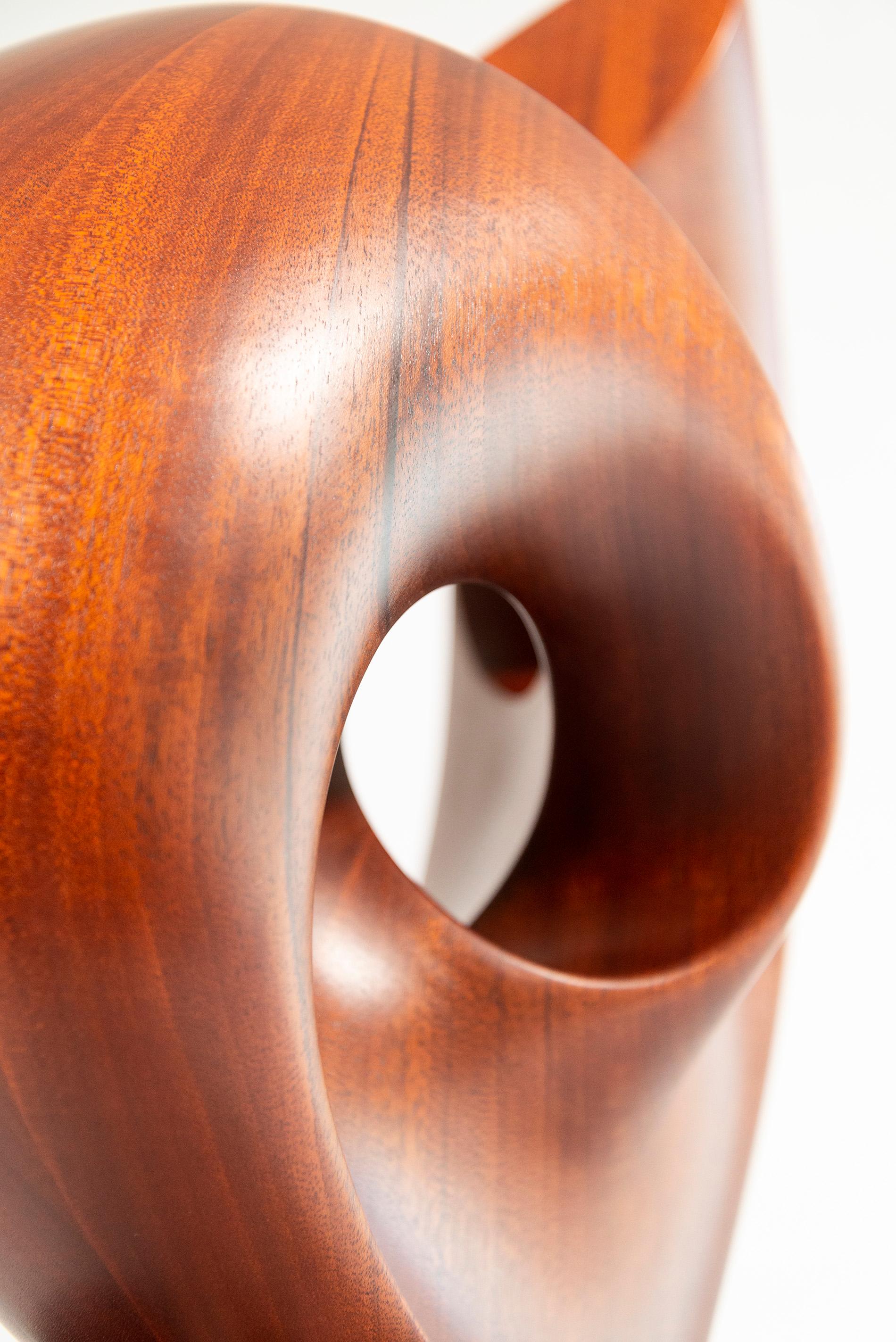 Senza Misura - smooth, polished, abstract, contemporary, mahogany sculpture For Sale 9