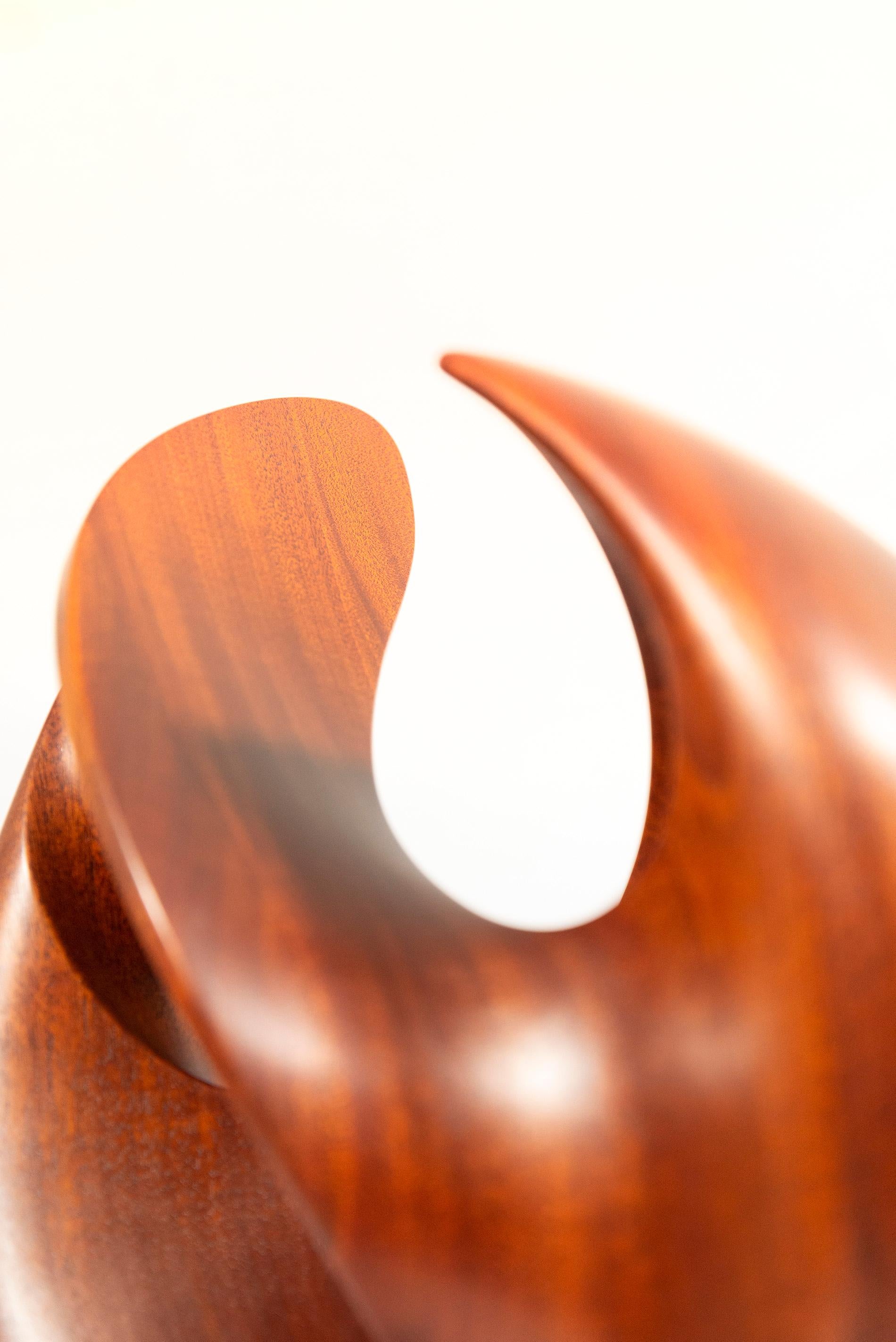 Senza Misura - smooth, polished, abstract, contemporary, mahogany sculpture For Sale 10