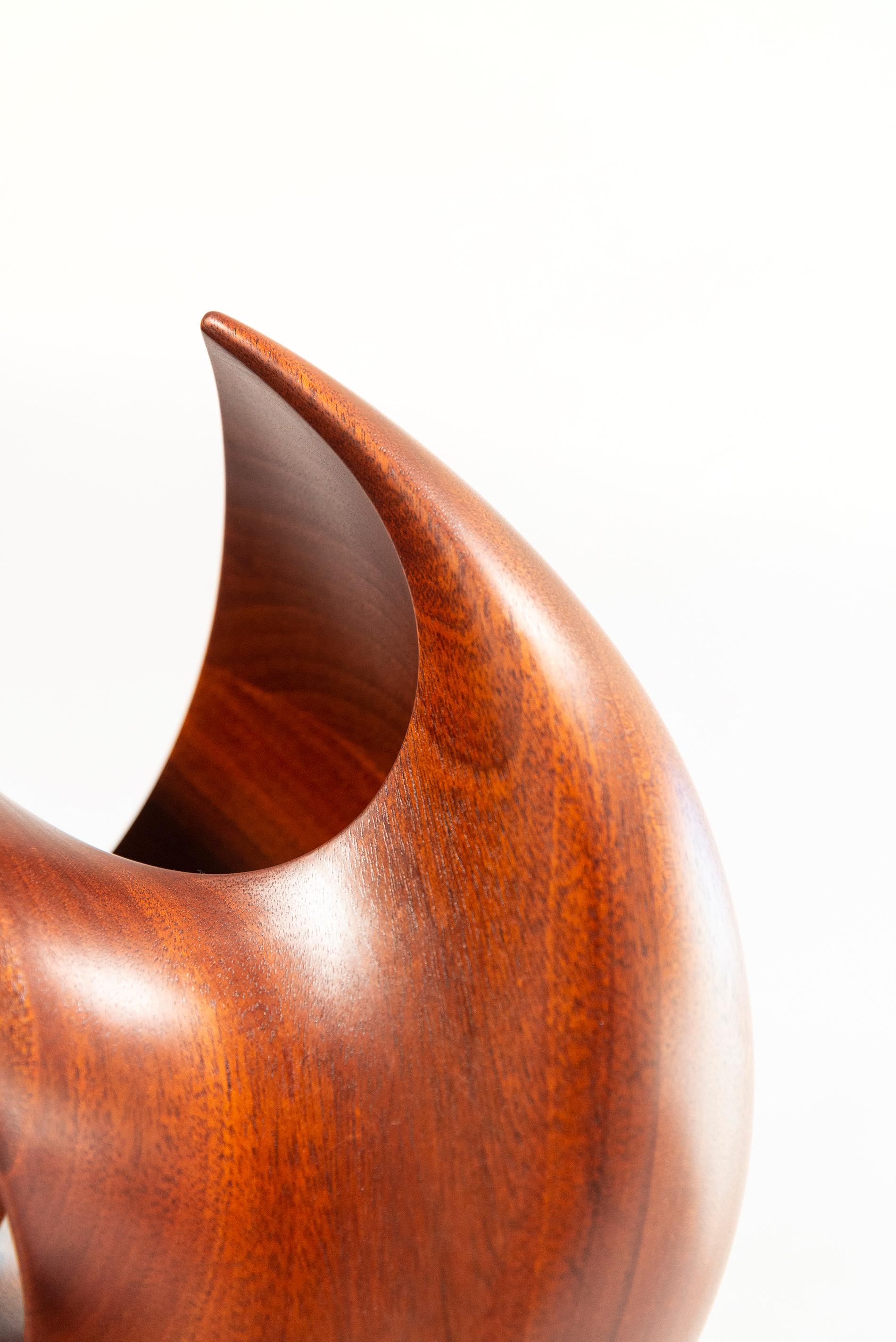 Senza Misura - smooth, polished, abstract, contemporary, mahogany sculpture For Sale 11
