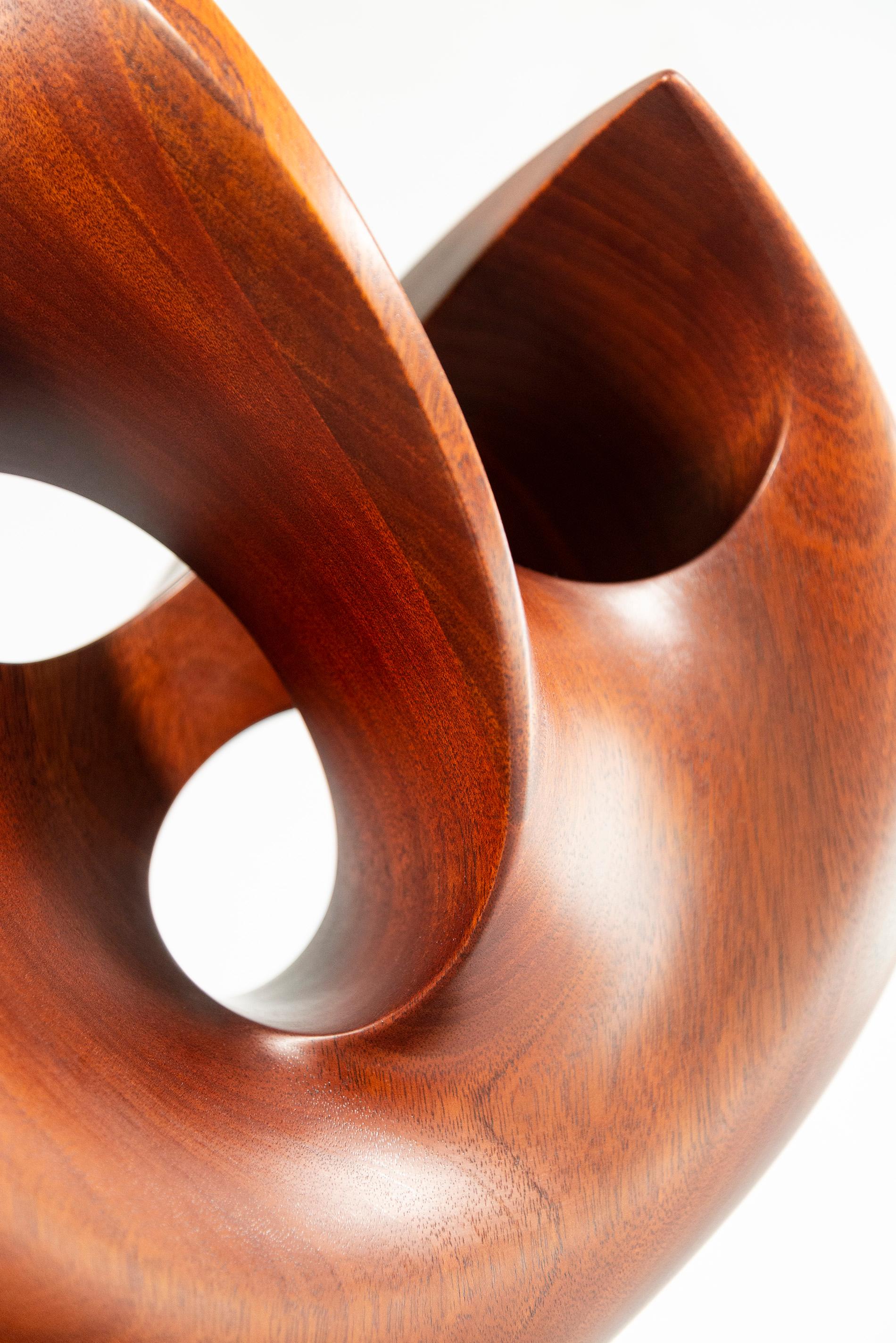 Senza Misura - smooth, polished, abstract, contemporary, mahogany sculpture For Sale 12