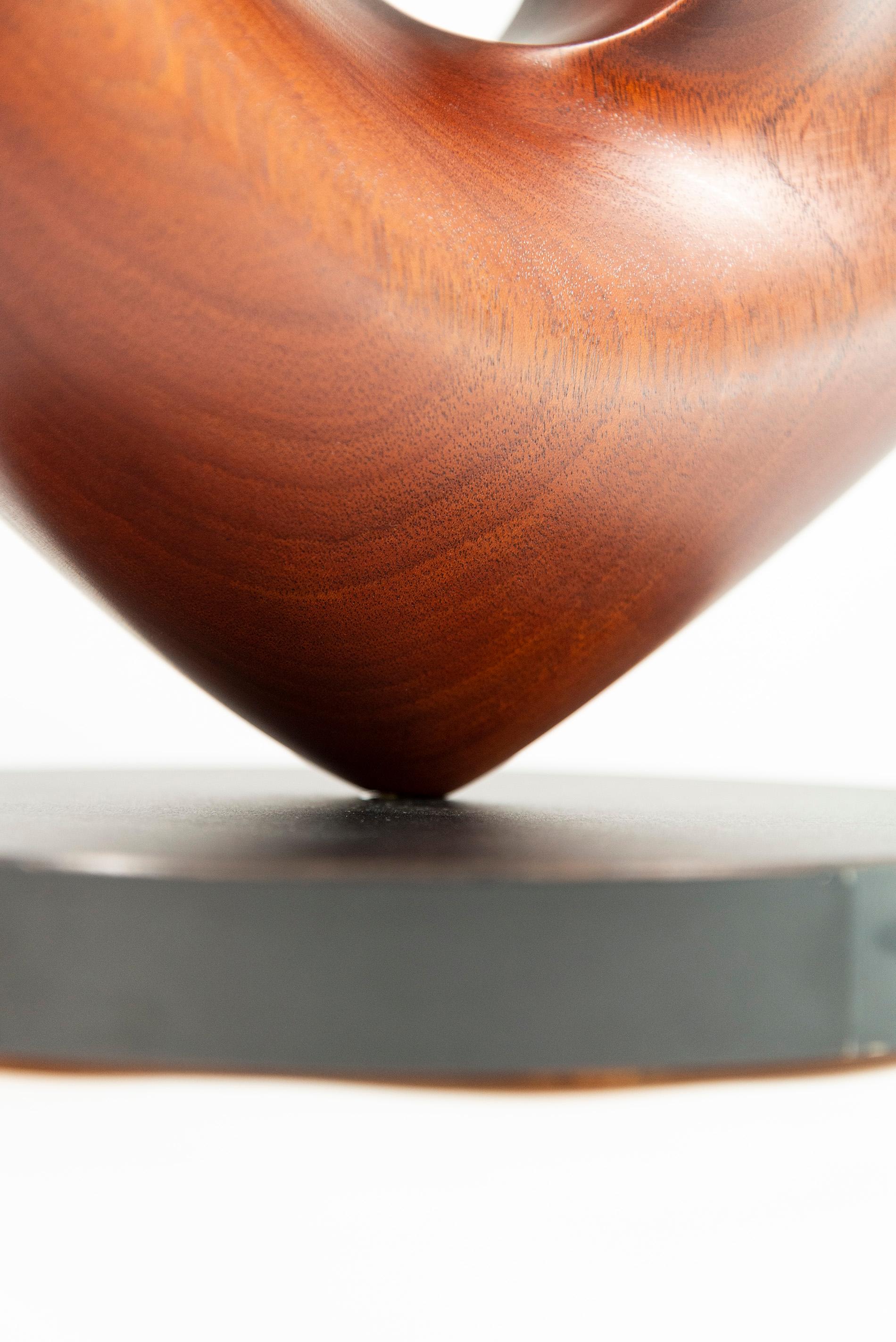 Senza Misura - smooth, polished, abstract, contemporary, mahogany sculpture For Sale 13