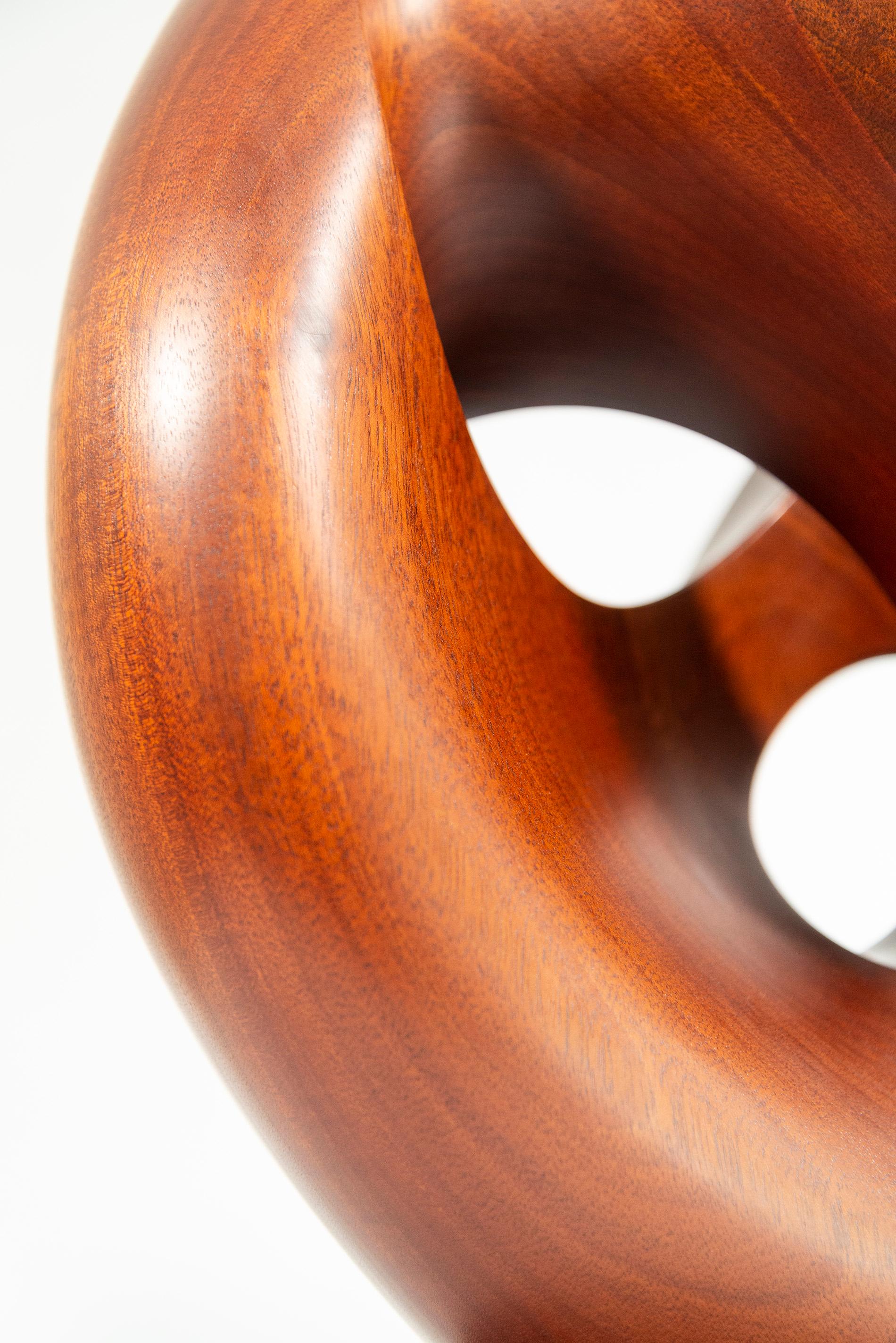 Senza Misura - smooth, polished, abstract, contemporary, mahogany sculpture For Sale 14