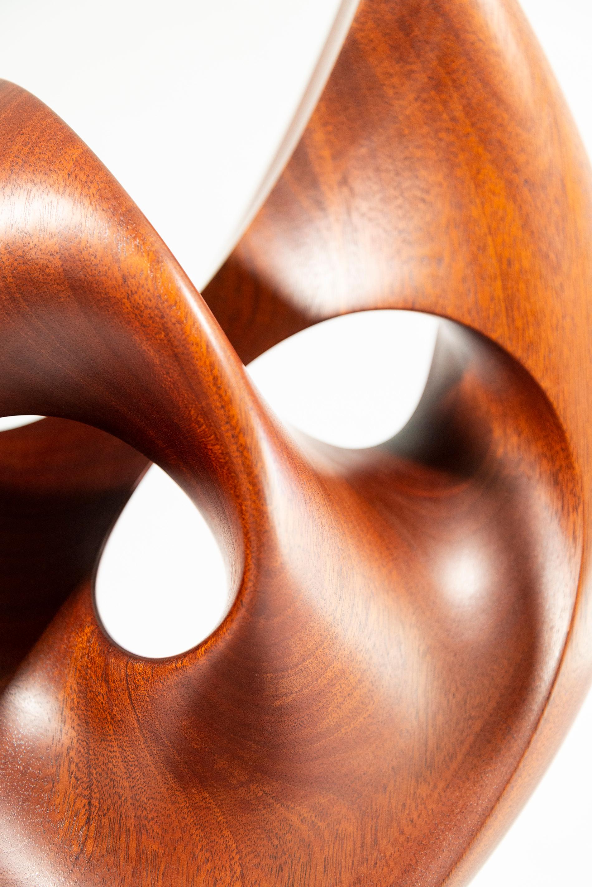 Senza Misura - smooth, polished, abstract, contemporary, mahogany sculpture For Sale 15