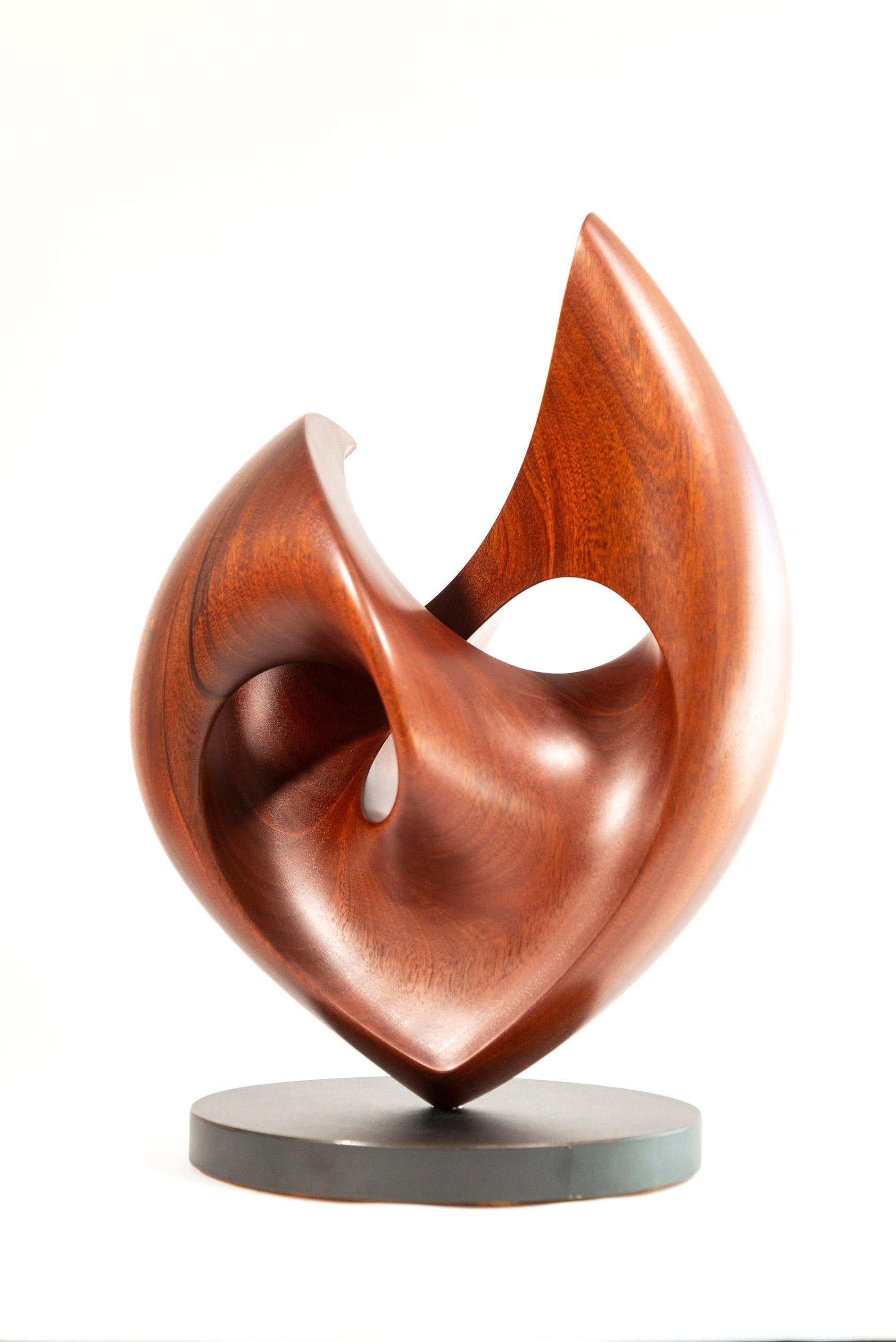 Senza Misura - smooth, polished, abstract, contemporary, mahogany sculpture For Sale 2