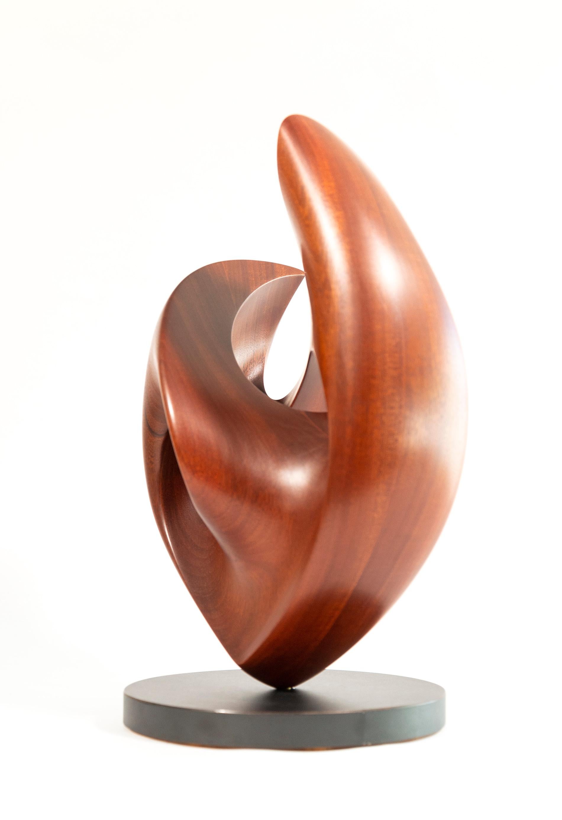 Senza Misura - smooth, polished, abstract, contemporary, mahogany sculpture For Sale 3