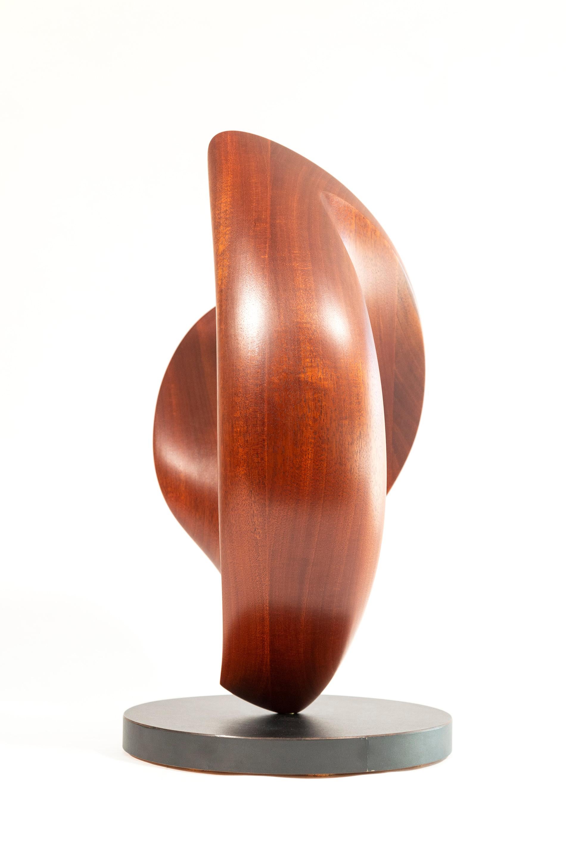 Senza Misura - smooth, polished, abstract, contemporary, mahogany sculpture For Sale 4