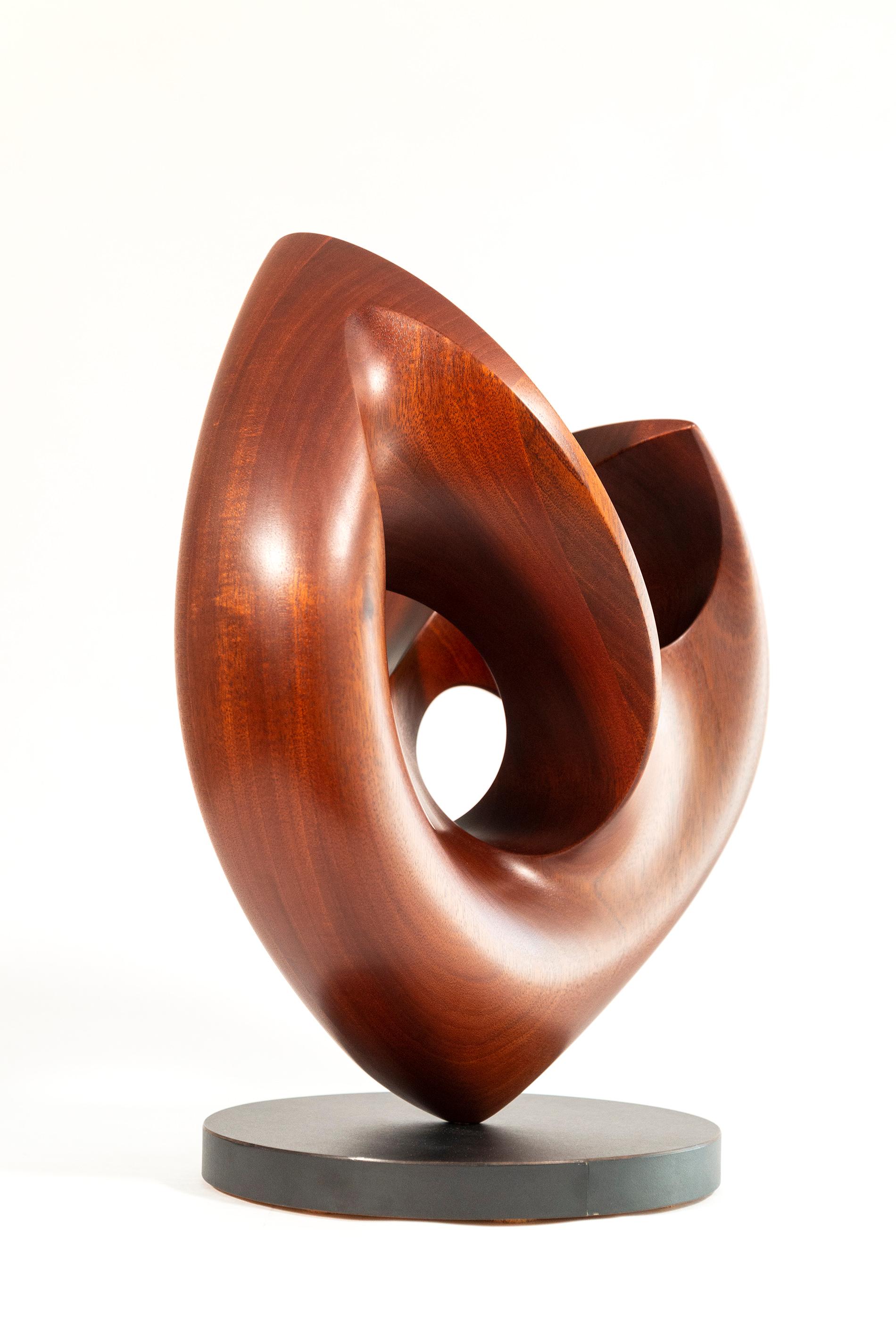 Senza Misura - smooth, polished, abstract, contemporary, mahogany sculpture For Sale 5
