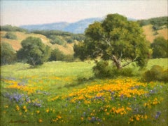 "Valley Color" Colorful Impressionistic Spring Time Landscape Oil Painting Frame