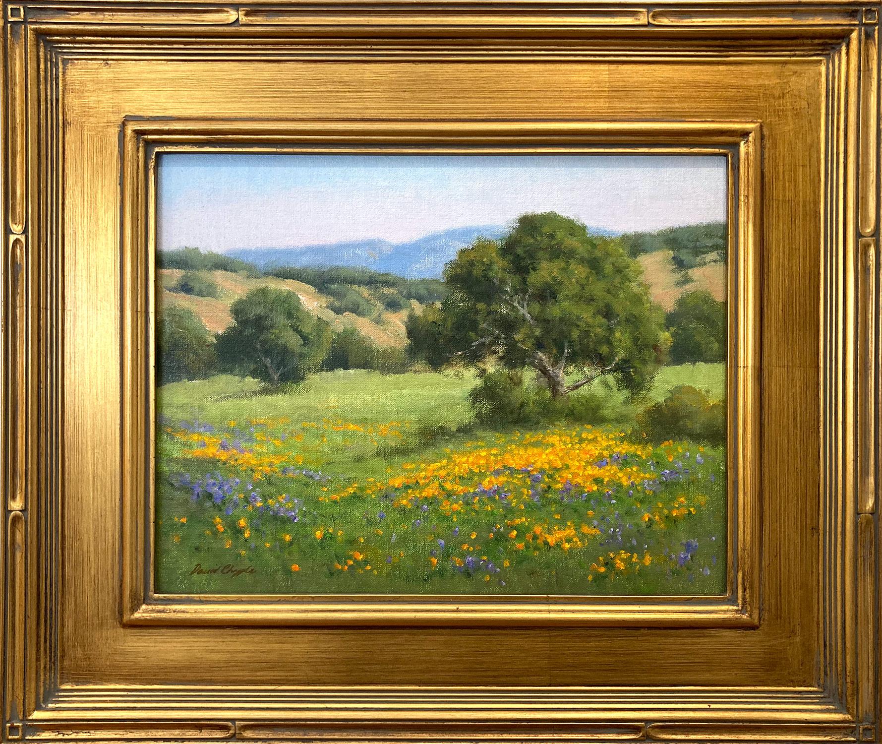 Landscape Painting de David Chapple - "Color del Valle" Colorido Paisaje Impresionista de Primavera Marco de Pintura al Óleo
