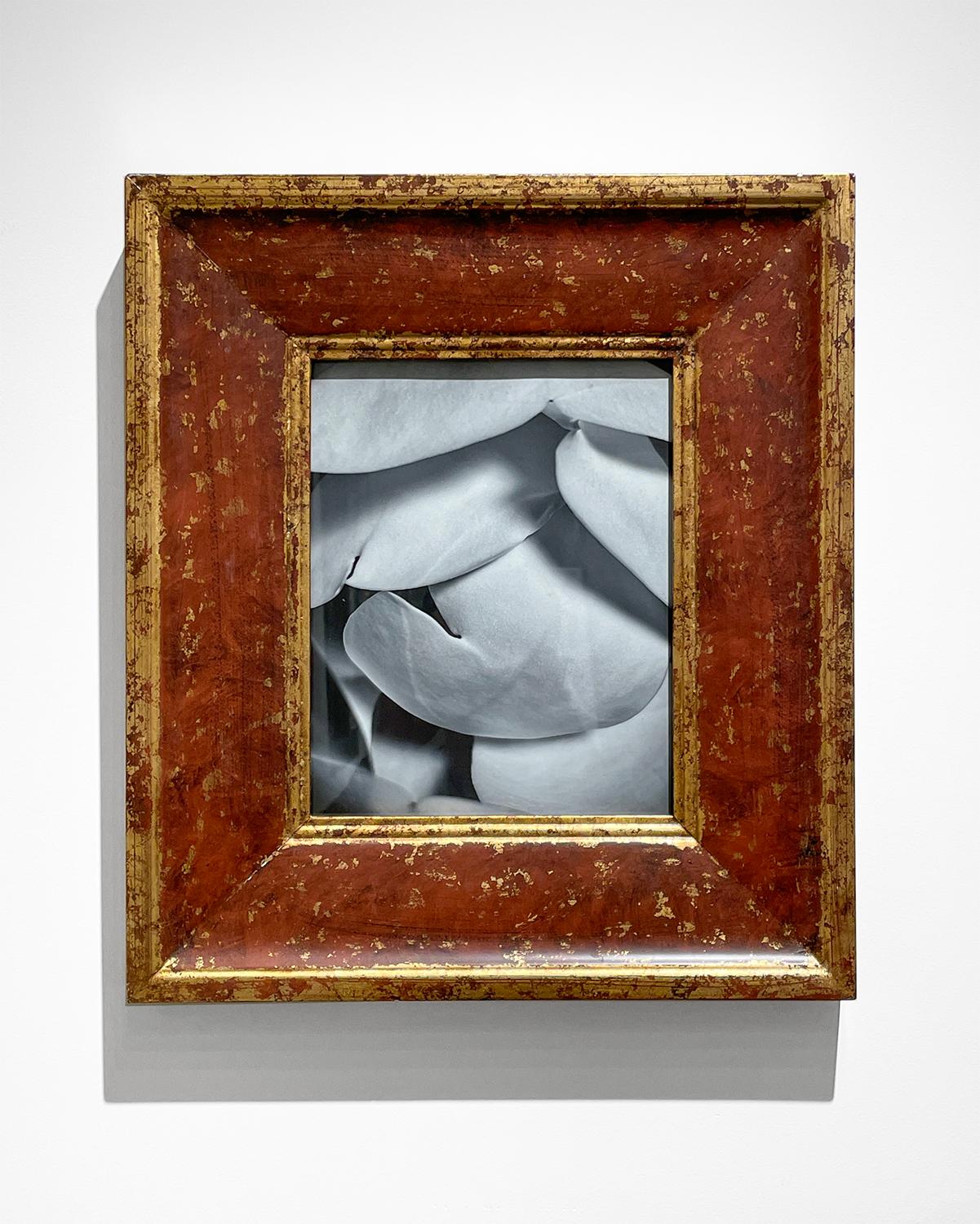 Magnolia I y II (Pareja de fotografías florales en blanco y negro en marcos de época) - Photograph Contemporáneo de David Dew Bruner
