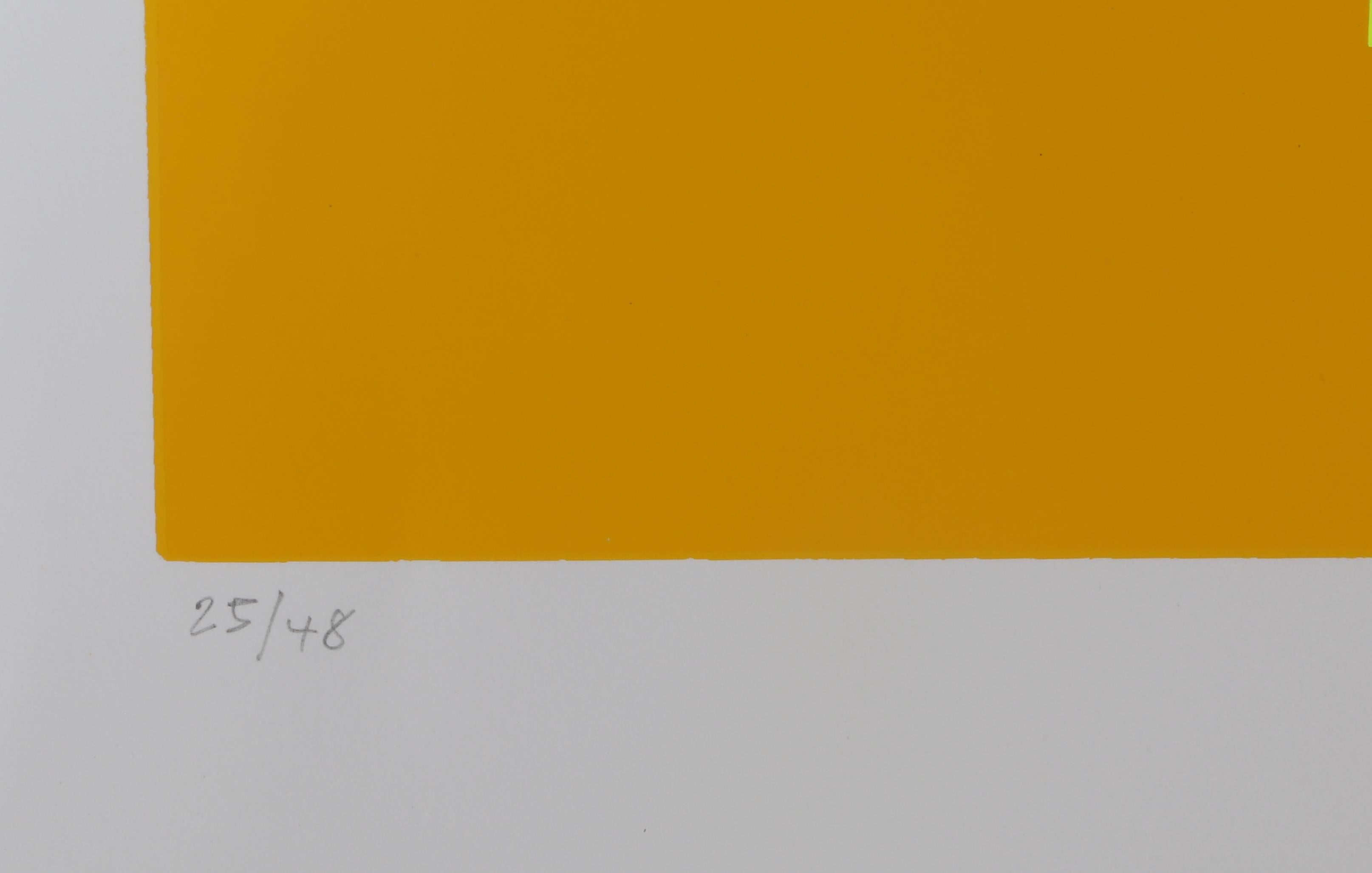 Barnett Newman: The Paintings (Gelb), Minimalistischer Siebdruck von David Diao im Angebot 2