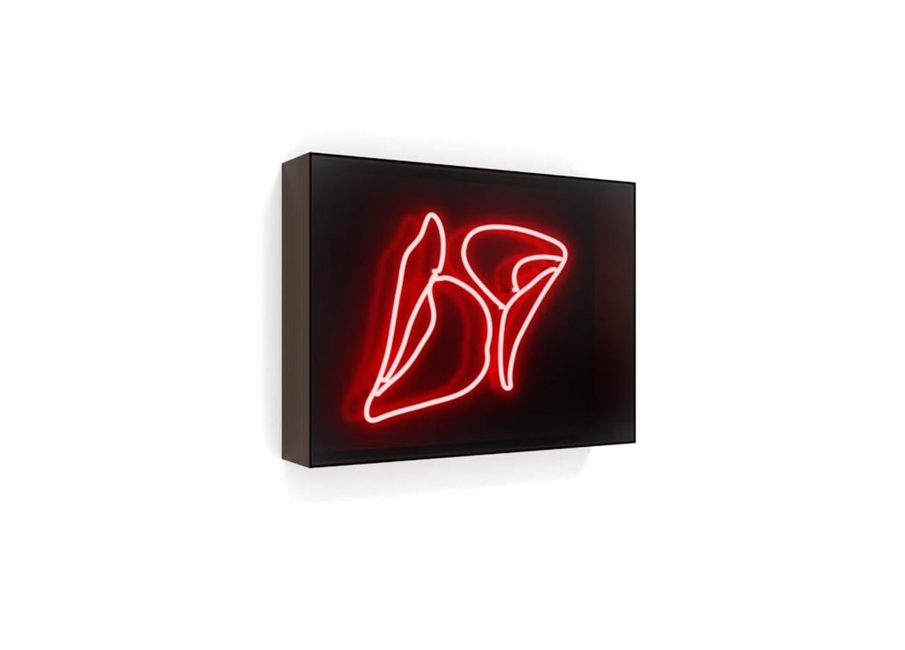 Series: Neon
30" x 40" x 6" - Edition of 9

Disarmingly blunt and intensely intimate, David Drebin's neon light installations illuminate hidden aspirations and secret thoughts of the femmes fatales who inhabit the elusive world of his iconic