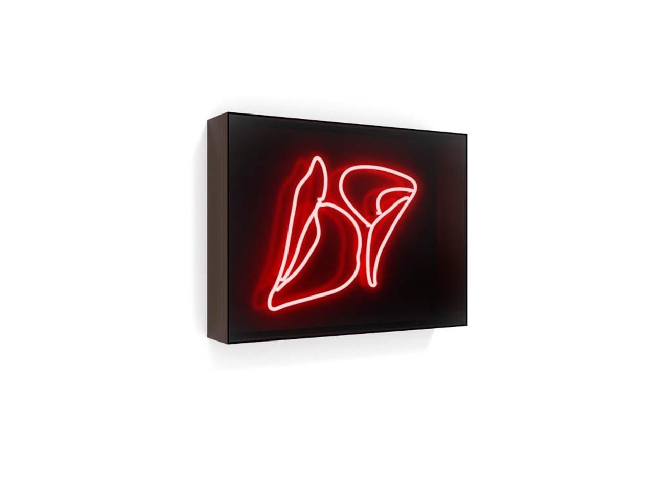 Série : Néon
30" x 40" x 6" - Edition de 9 exemplaires

D'une franchise désarmante et d'une intimité intense, les installations au néon de David IcCon éclairent les aspirations et les pensées secrètes des femmes fatales qui peuplent le monde