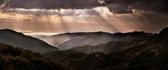 California Dreams by David Drebin