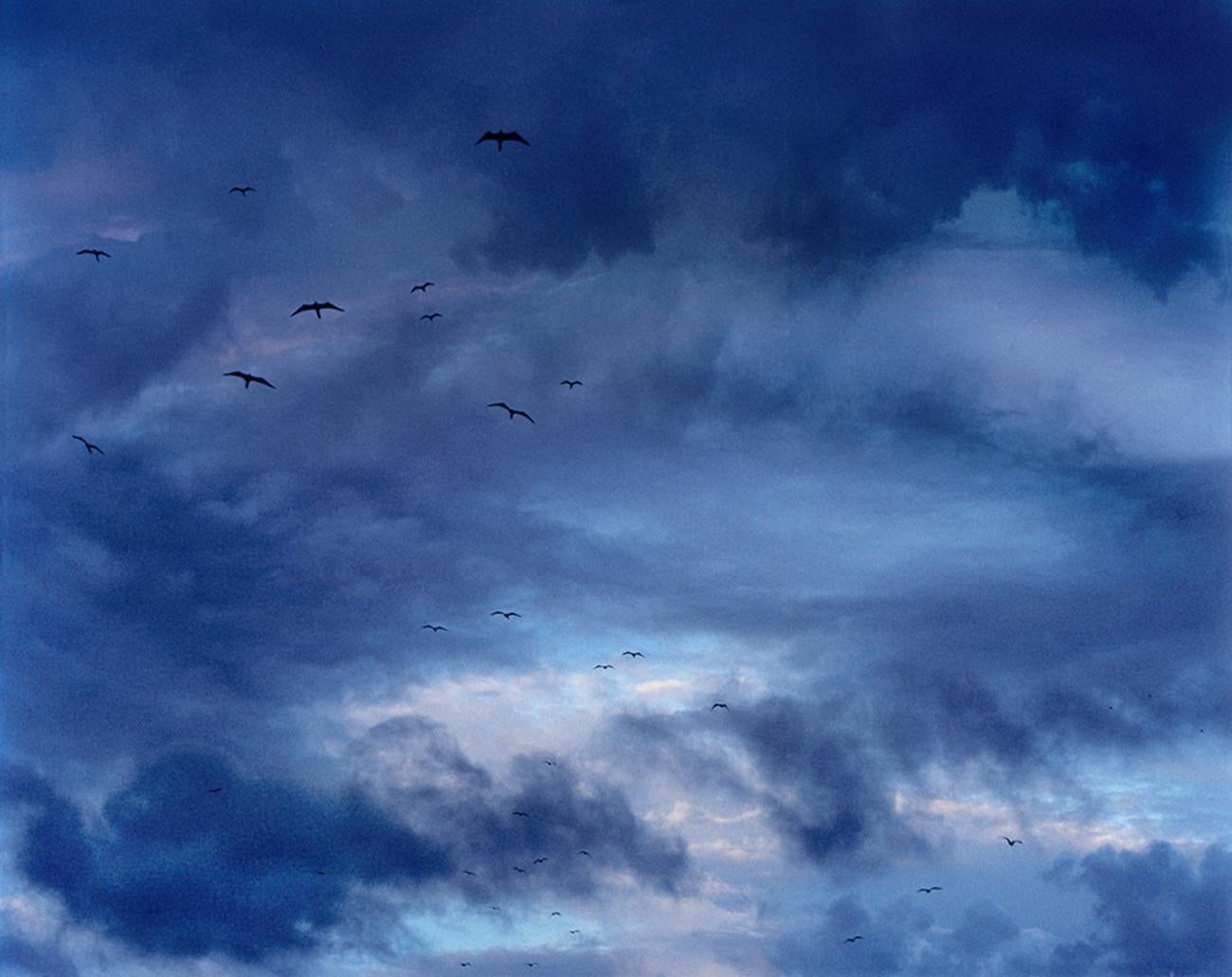 Serie: Paesaggi da sogno
Tutte le dimensioni e le edizioni disponibili per ciascuna dimensione di questa fotografia:
30" X 37.5" - Edizione di 10
48" X 60" - Edizione di 7
48" X 60" - Edizione di 3; Lightbox

"I Dreamscapes di Drebin ci trasportano