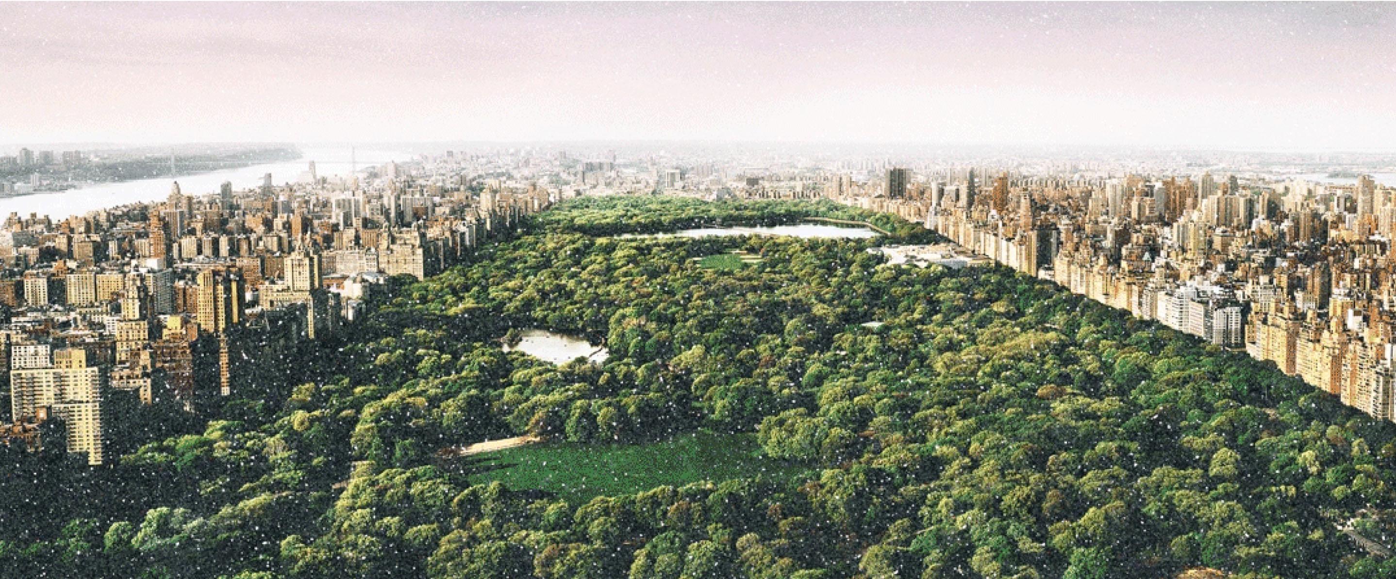 David Drebin - SOGNI DI POLVERE DI DIAMANTE DI CENTRAL PARK, 2020, Stampato Dopo