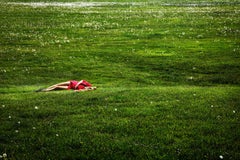 David Drebin - Field Of Dreams, Photography 2012, Printed After