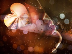 David Drebin – HIDDEN SPARKLE, Fotografie 2024, gedruckt nach