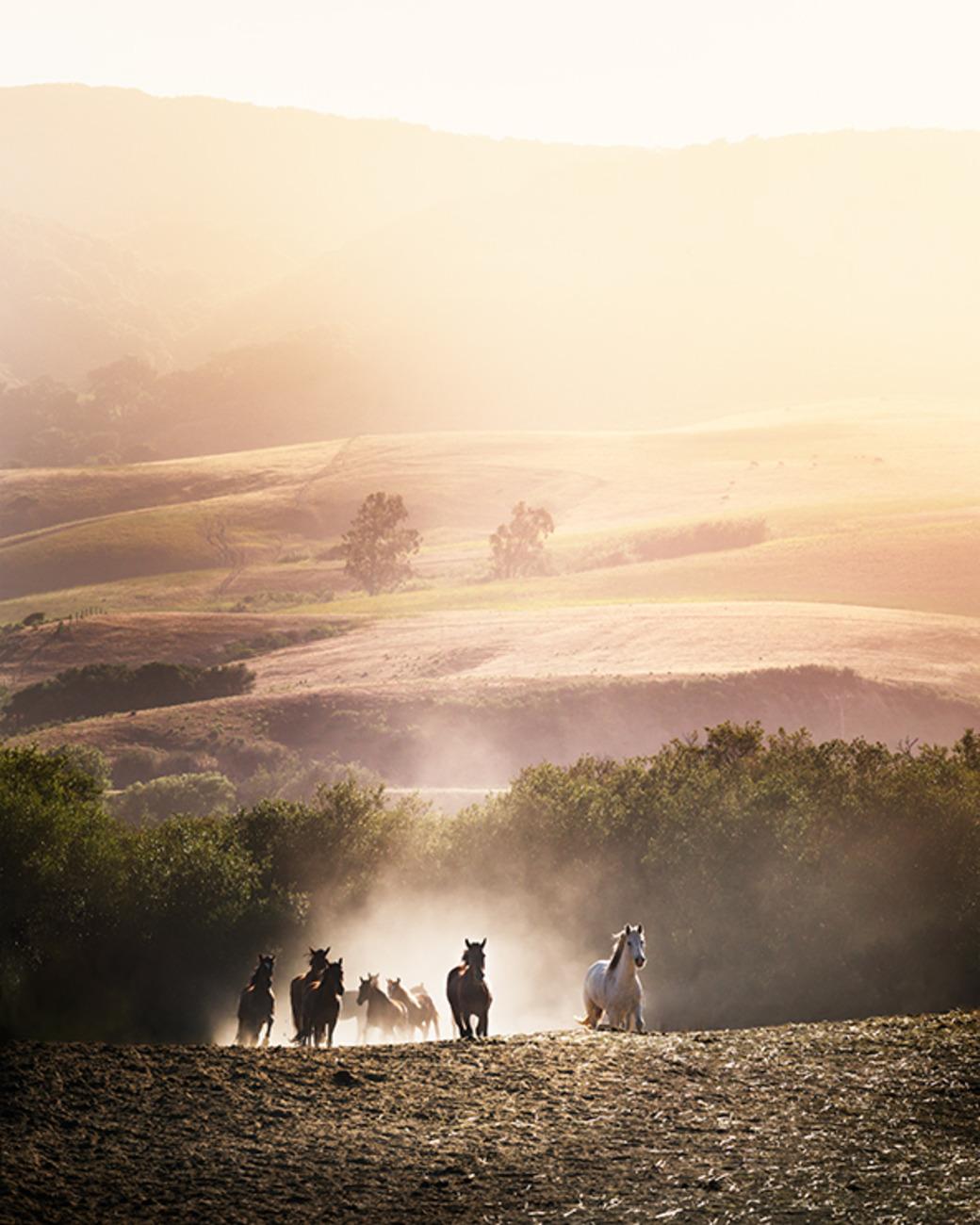 Serie: Paesaggi da sogno
Tutte le dimensioni e le edizioni disponibili per ciascuna dimensione di questa fotografia:
40" X 32" - Edizione di 10
60" X 48" - Edizione di 7
60" X 48" - Edizione di 3; Lightbox

"I Dreamscapes di Drebin ci trasportano