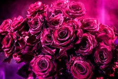 David Drebin - Pink Love, Photography 2014, Printed After