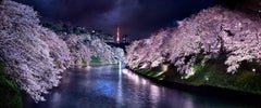 David Drebin – Pink Nights, Fotografie 2015, Druck nach