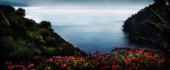 David Drebin - Portofino Flowers, Photography 2013, Printed After