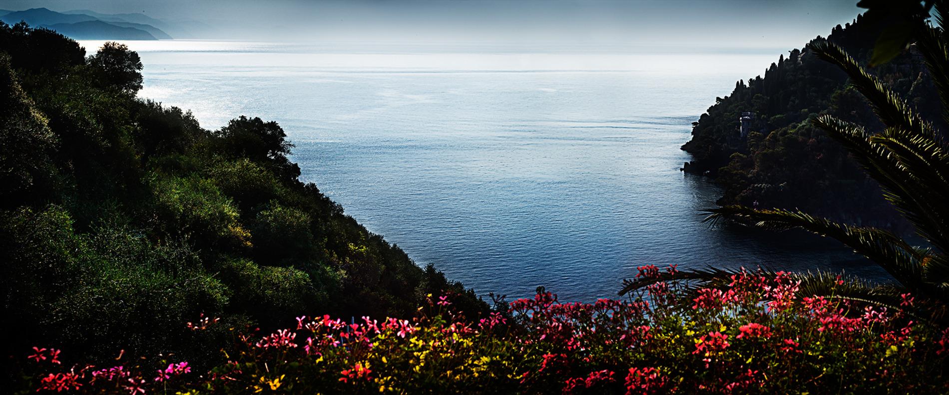 Serie: Paesaggi da sogno
Tutte le dimensioni e le edizioni disponibili per ciascuna dimensione di questa fotografia:
30" X 72" - Edizione di 10
40" X 96" - Edizione di 7
40" X 96" - Edizione di 3; Lightbox

"I Dreamscapes di Drebin ci trasportano