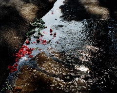 David Drebin - Roses, Photographie 2014, Imprimé d'après