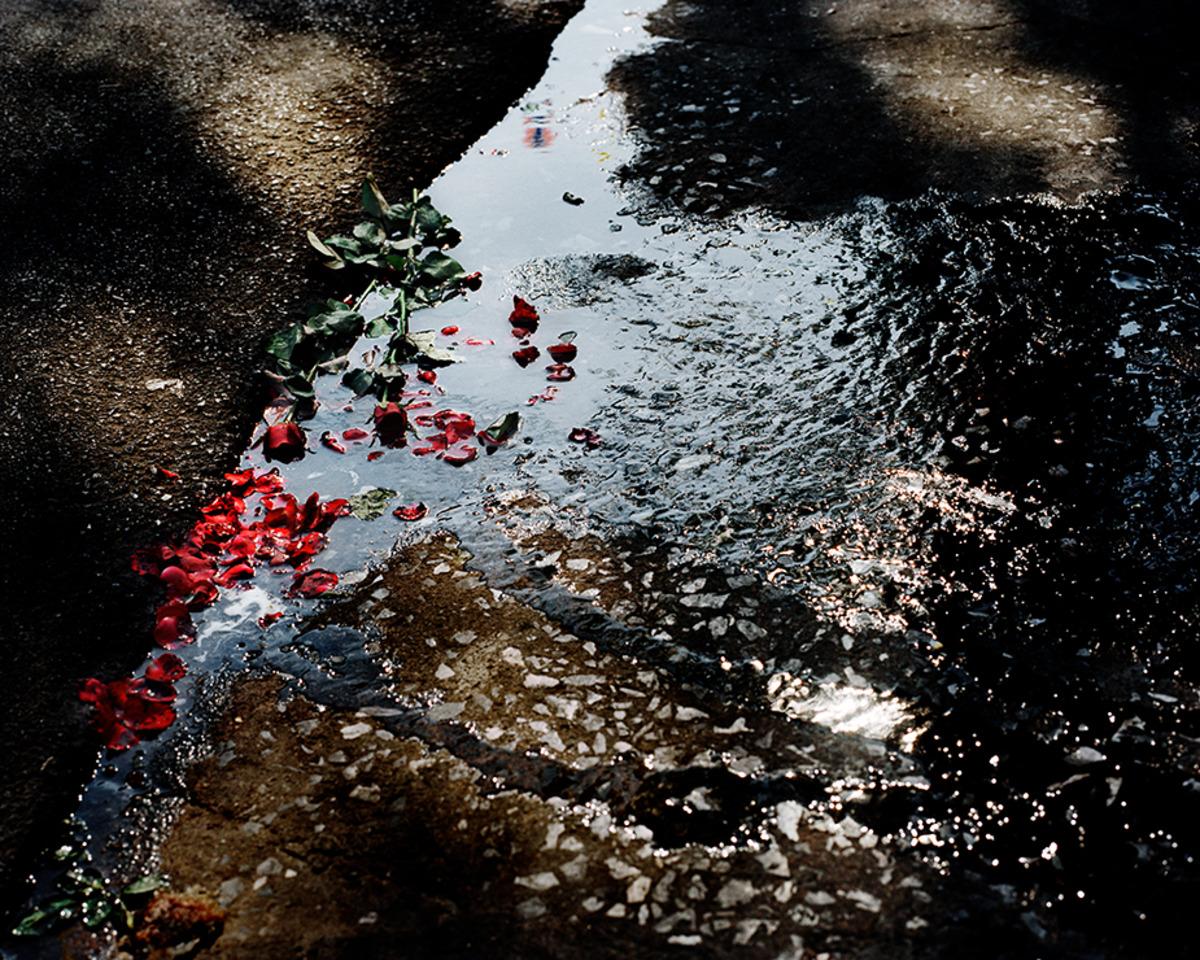 Serie: Paesaggi da sogno
Tutte le dimensioni e le edizioni disponibili per ciascuna dimensione di questa fotografia:
30" X 37.5" - Edizione di 10
48" X 60" - Edizione di 7
48" X 60" - Edizione di 3; Lightbox

"I Dreamscapes di Drebin ci trasportano