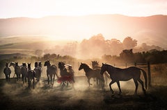 David Drebin – Laufsteg im Wildleder, Fotografie 2013, Druck nach