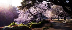 David Drebin – Tokyo Dusk, Fotografie 2015, Druck nach