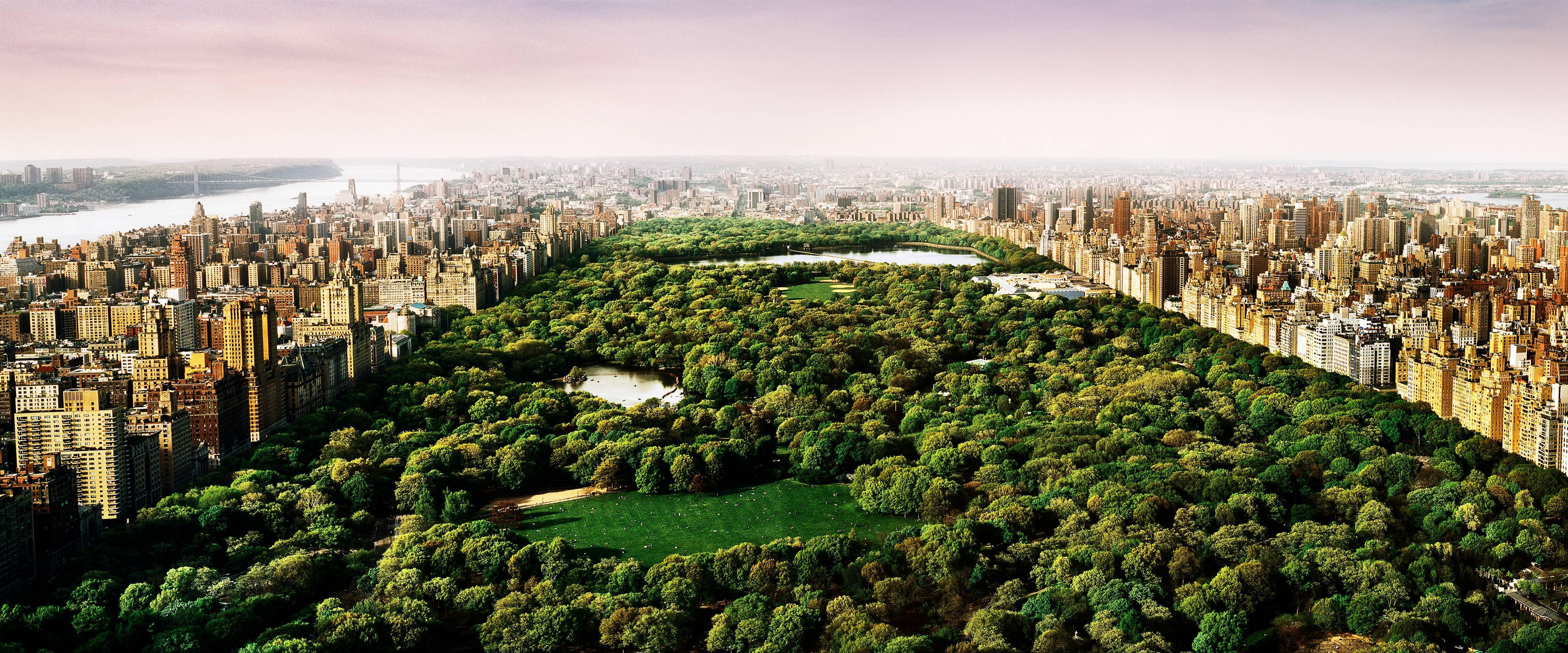 David Drebin Landscape Photograph - Dreams of Central Park