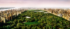 Dreams Of Central Park